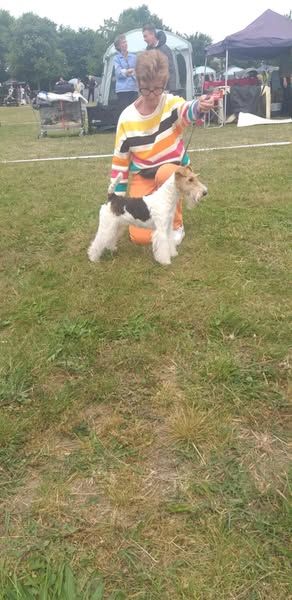 Udine du Moulin des Licornes